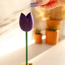 Tulipa c/ suporte bella luna aromas