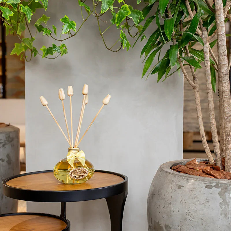 Difusor de Varetas 250ml - Bellos Aromas